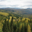 ______________2022-08-25_100027_thumb_main - Sibnovosti.ru
