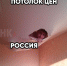 Фото ТГ-канала "Прямой эфир" - НИА