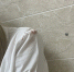 /upload/resize_cache/iblock/541/855_641_1/dxqxjsav00yvsggiate9mqzhy1d3m6l2.jpg - Седьмой канал