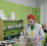 Студенты Красноярского аграрного техникума вышли в финал Всероссийского чемпионата профмастерства - НИА