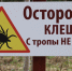 Жителям Красноярска рассказали, где активировались клещи в мае-июне - Krasnoyarsk.Sm.News