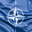 Все планы НАТО на Украине с треском провалились, заявили в Европе - KrasnoyarskMedia