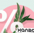С 1 сентября Совкомбанк повышает процент на остаток по «Халве» и ставки по накопительному счету - Newslab.Ru