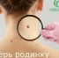 Фото: https://vk.com/onkod - НИА