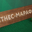 Молодых красноярцев приглашают на бесплатные занятия фитнесом - Newslab.Ru