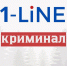 Ревизор в Новосибирске заплатит миллион рублей за мелкую взятку - 1-LINE