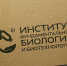 В 2023 году институты СФУ обновили фирменный стиль - СФУ