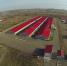 Свинокомплекс под Сухобузимо Красноярский край - ДЕЛА.ru