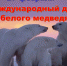 9292 - ЦБС для детей им. Н. Островского