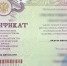 В Красноярске задержали мошенников, которые подделывали результаты тестирования мигрантов - Национальный акцент