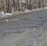 Водители теряют колеса своих автомобилей на назаровских дорогах из-за огромных ям - ИА Запад24