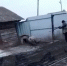 В Красноярском крае мужчина застрелил сидящую на цепи собаку. Полиция проводит проверку - Newslab.Ru