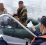 Трое мужчин застряли на Красноярском море в лодке без топлива - Newslab.Ru