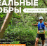 Фото: пресс-служба Фанпарка «Бобровый лог» - НИА
