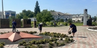 Автор: Пресс-служба агентства труда и занятости населения Красноярского края - Администрация Красноярского края