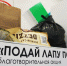 Красноярцы собрали рекордное количество корма для животных - Столица 24