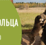 День добровольца - Юстиция