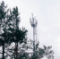 МТС первой из операторов запустила 4G на курорте «Сюгеш» в Хакасии - Newslab.Ru