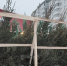 Elochniy bazar nia - НИА