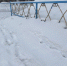 Назаровцы бьют тревогу по поводу выпавшего в городе желто-серого снега - ИА Запад24