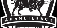"Сокол" на своем льду взял верх над действующим чемпионом ВХЛ - РИА RedЯрск-Информ
