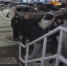 В Красноярске в Солнечном толпа подростков избила мужчину возле подъезда. Фото: Наш мкр Солнечный/ tg.me - Седьмой канал