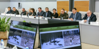 Закон, предлагающий умерщвление безнадзорных животных, отложили - ЛДПР