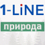 В Республике Алтай начался учёт снежного барса - 1-LINE