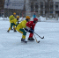 Фото с сайта www.kraysport.ru - Газета Красноярский рабочий