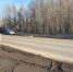 На трассе в Красноярском крае произошло ДТП с диким животным - 1-LINE