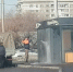 В Красноярске стартует двухмесячник по благоустройству и озеленению - 1-LINE