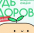 Федеральная образовательная акция «Диктант здоровья» - КГБУЗ ККЦМП