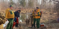 В Красноярском крае на выходных ликвидировано 6 лесных пожаров - 1-LINE