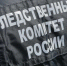Бастрыкин поручил ускорить расследование об оказании мед. помощи в Красноярске - 1-LINE