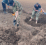 Юные красноярские поисковики обнаружили в Волгоградской области останки солдат - Газета Красноярский рабочий