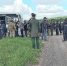 В теплицах под Красноярском поймали мигрантов-нарушителей (видео) - Newslab.Ru