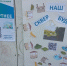В Красноярске может появиться новый сквер на месте снесённых домов - Комсомольская Правда