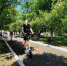 «Традиционные ценности»: более 500 красноярцев приняли участие в городском семейном фестивале - Newslab.Ru