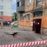 Перед домом в центре Красноярска образовался опасный провал - Наш Красноярский край