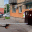 В Красноярске на Бограда образовался провал грунта - KrasnoyarskMedia