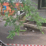 В центре Красноярска нашли еще один провал грунта возле жилого дома - Комсомольская Правда