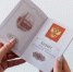 Продукты, сигареты, ценности: что еще нельзя везти в самолете без декларации - KrasnoyarskMedia