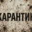 В Алтайском крае зафиксирован 15-й случай бешенства в 2025 году - 1-LINE