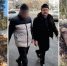 В Красноярском крае экс-депутата обвиняют в незаконной рубке леса на 42 млн рублей - 1-LINE
