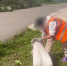 Скриншот видео из тг-канала Прокуратуры Красноярского края - НИА