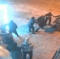 Красноярка у кафе искалечила мужчину во время защиты своего супруга: её ждёт суд - ИА Запад24