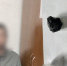 Фото: тг-канал "МВД 24" - НИА
