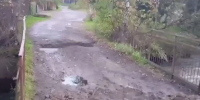В поселке под Дивногорском восстановили разрушенный ливнем мост - Комсомольская Правда
