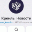 Красноярцы могут подписаться на официальный канал Владимира Путина в МАХ - 1-LINE