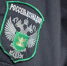 В Красноярске нашли больше 11 тонн зараженных перцев, хурмы, капусты и питахайи - Наш Красноярский край
